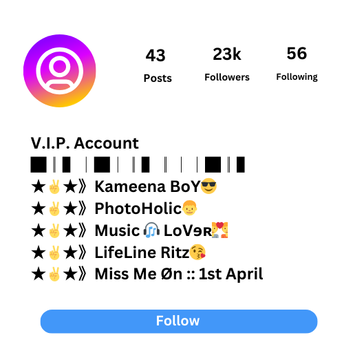punjabi bio for instagram for girl simple