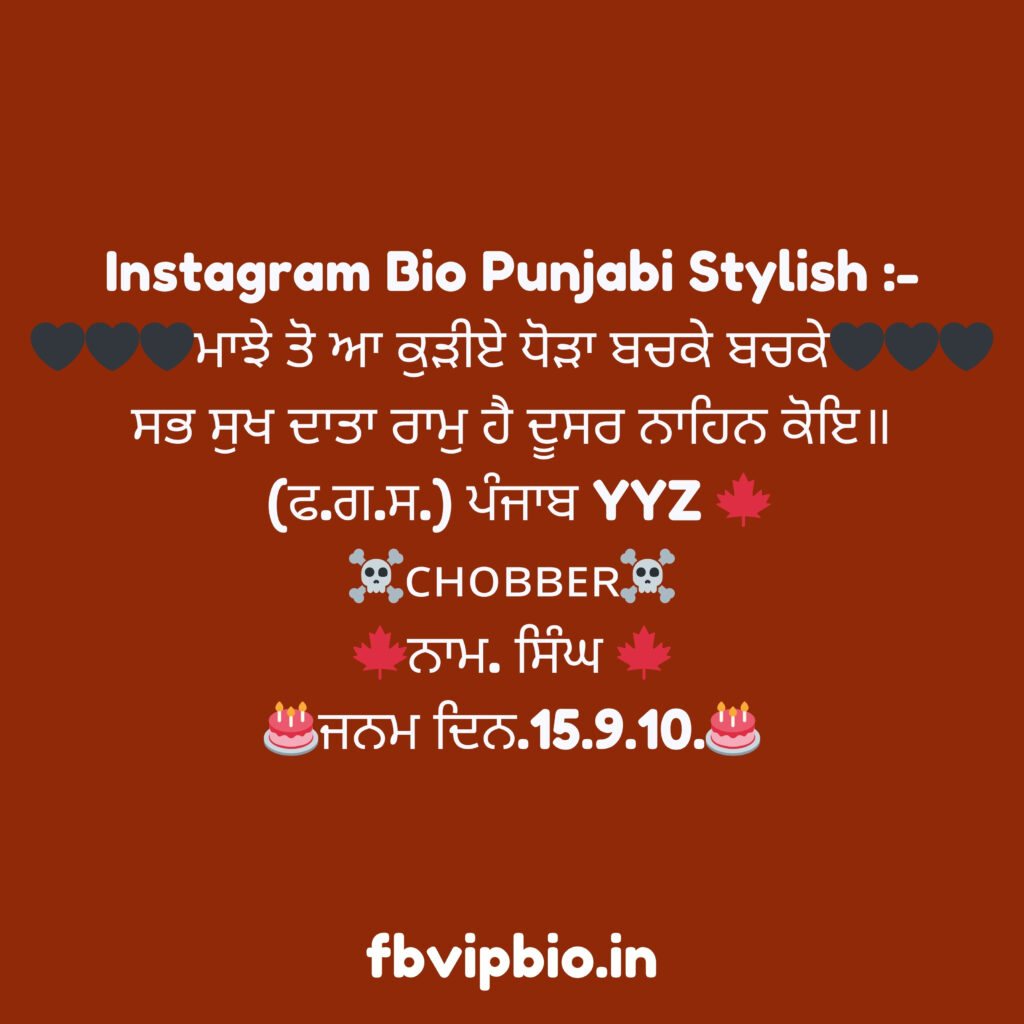 facebook bio style punjabi