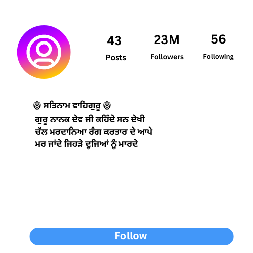 Instagram Bio for Boys in Punjabi